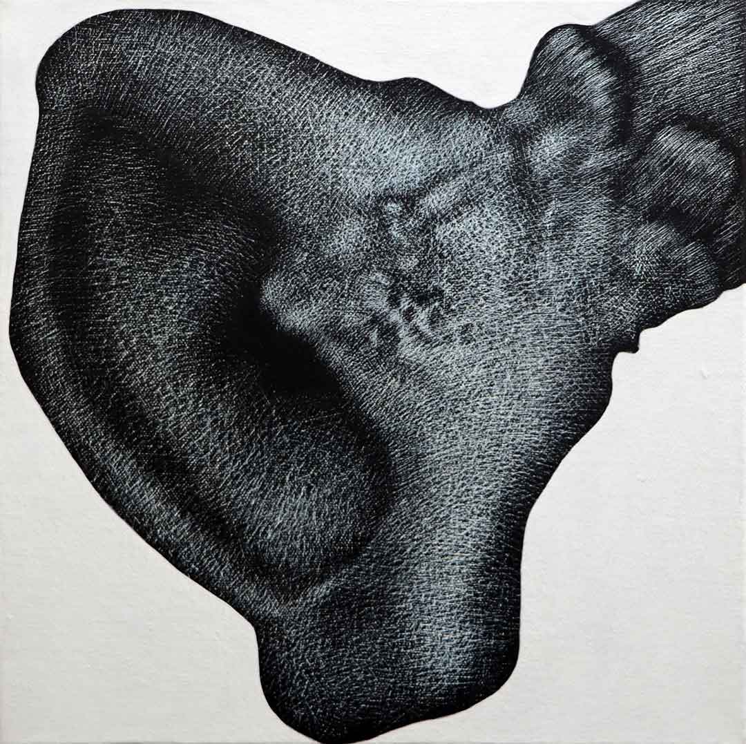 Dead Ear Tree (4)