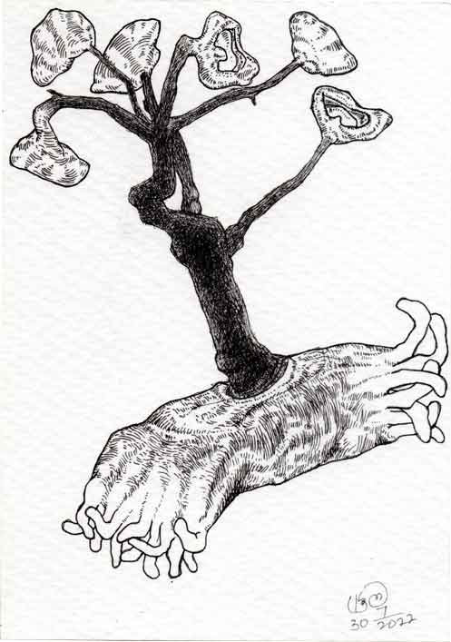 Dead Ear Tree 24