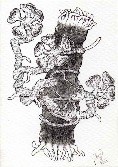 Dead Ear Tree 27