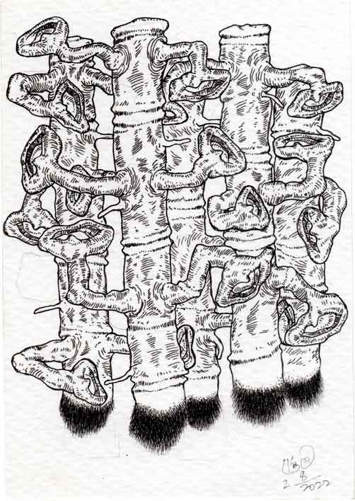 Dead Ear Tree 28