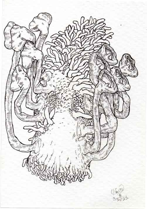 Dead Ear Tree 29