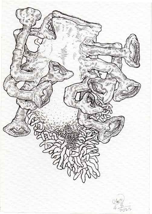Dead Ear Tree 30